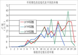 馬漢碧根果